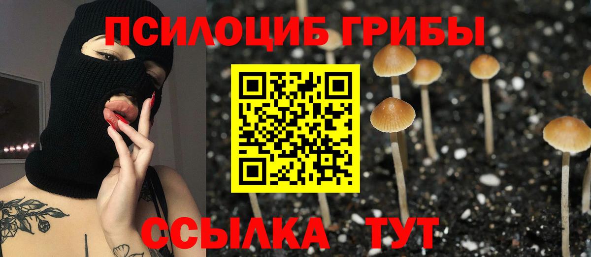 Галлюциногенные грибы Psilocybe Реж